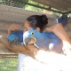 hyacinth-macaws-and-other-pets-parrots-african-grey-parrot-abadi-jalalpur-pirwala-1