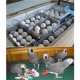 ostrich-african-grey-parrots-amazon-macaw-cockatoo-and-fertile-eggs-african-grey-parrot-barki-1