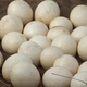 fertile-ostrich-and-parrots-macaw-eggs-and-their-chicks-for-sale-cockatoos-amir-pur-sadat