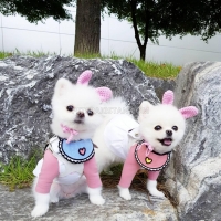 i-have-available-2-pomeranian-puppies-pomeranian-abbasia-3