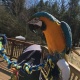 macaw-blue-and-gold-looking-for-new-home-other-bagh-o-bahar