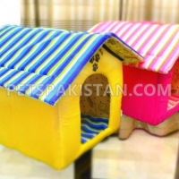 beautiful-cat-house-persian-cats-lahore-2