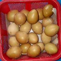 peasants-eggs-for-sale-ring-necked-pheasant-islamabad-2