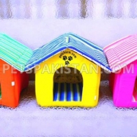 beautiful-cat-house-persian-cats-lahore-3