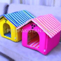 beautiful-cat-house-persian-cats-lahore-4