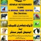 adiala-veterinary-clinic-animals-center-german-shepherd-rawalpindi
